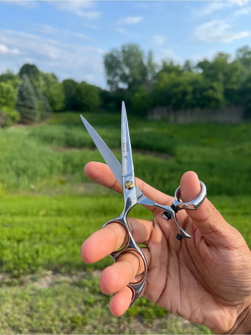 Professional swivel scissors/shears on sale, 6”